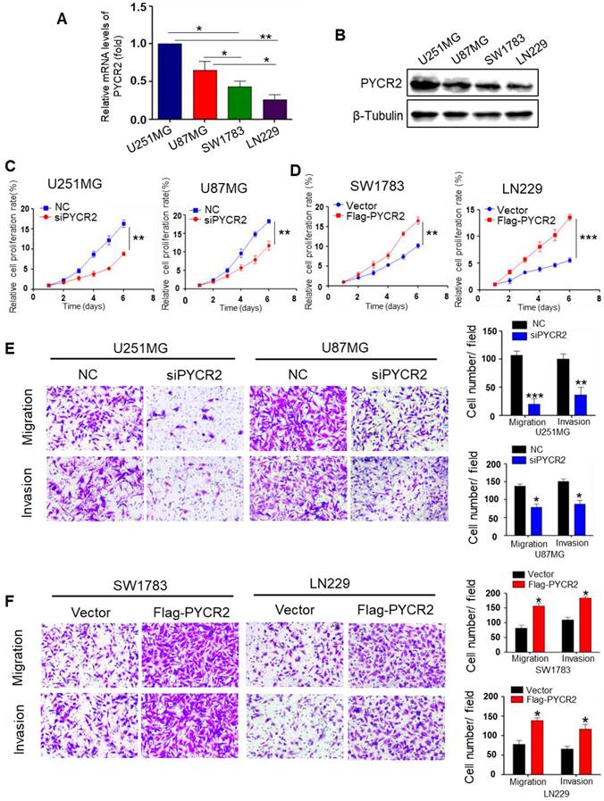 J Cancer Image