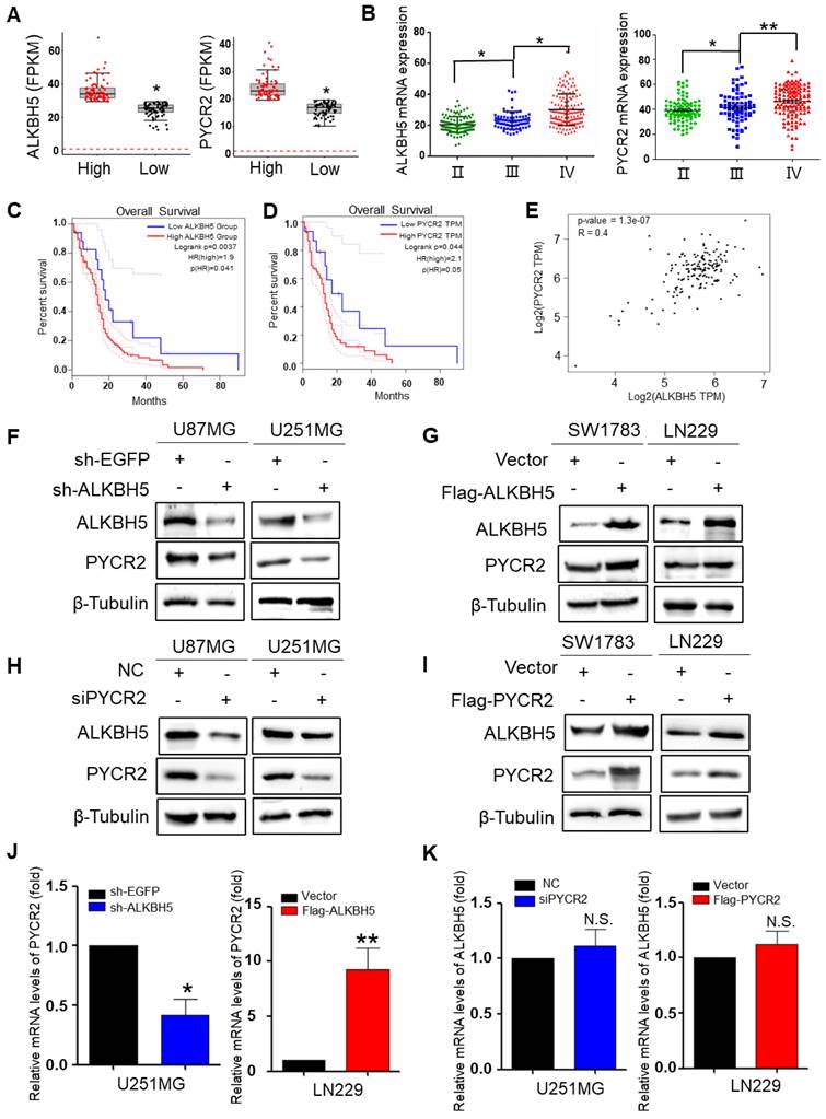 J Cancer Image
