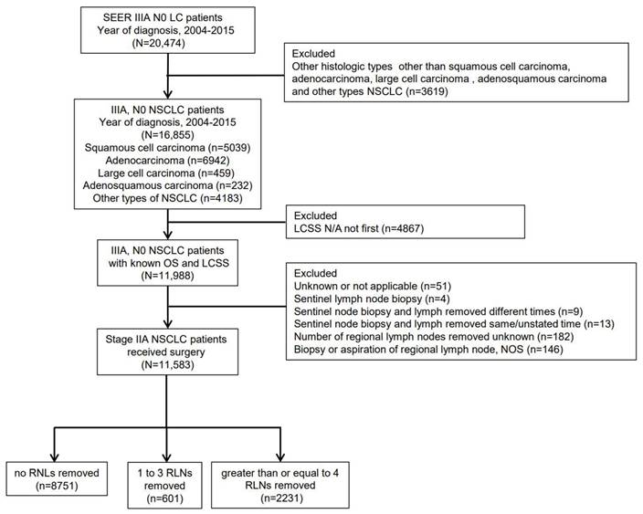 The Valuable Prognostic Impact of Regional Lymph Node Removed on ...