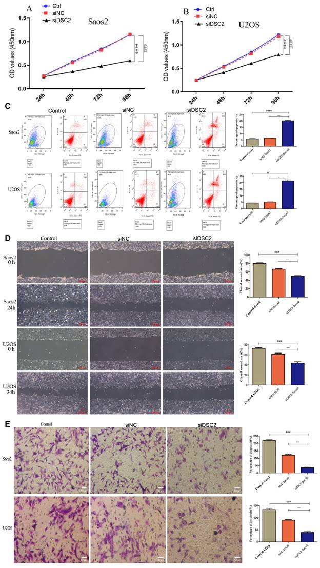 J Cancer Image
