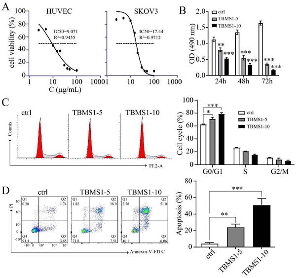 J Cancer Image