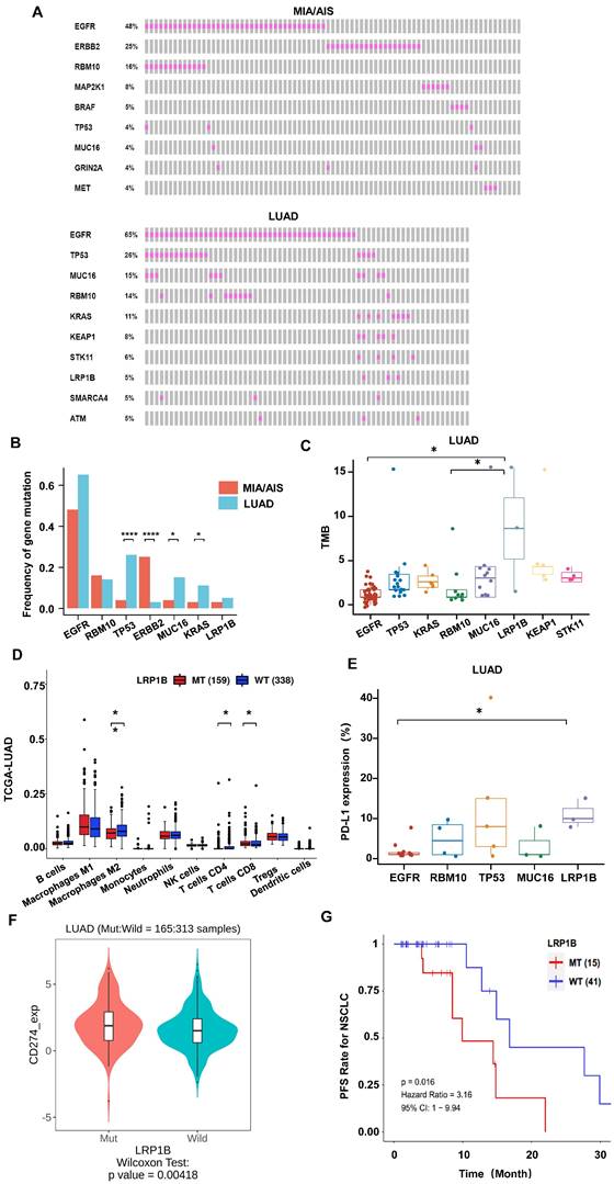 J Cancer Image