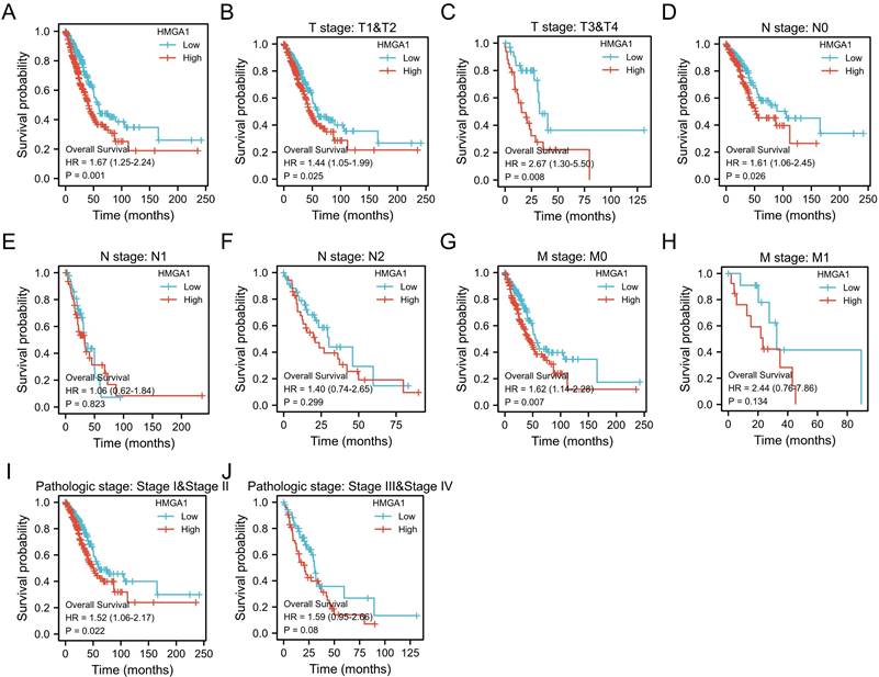 J Cancer Image