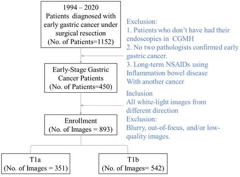 J Cancer Image