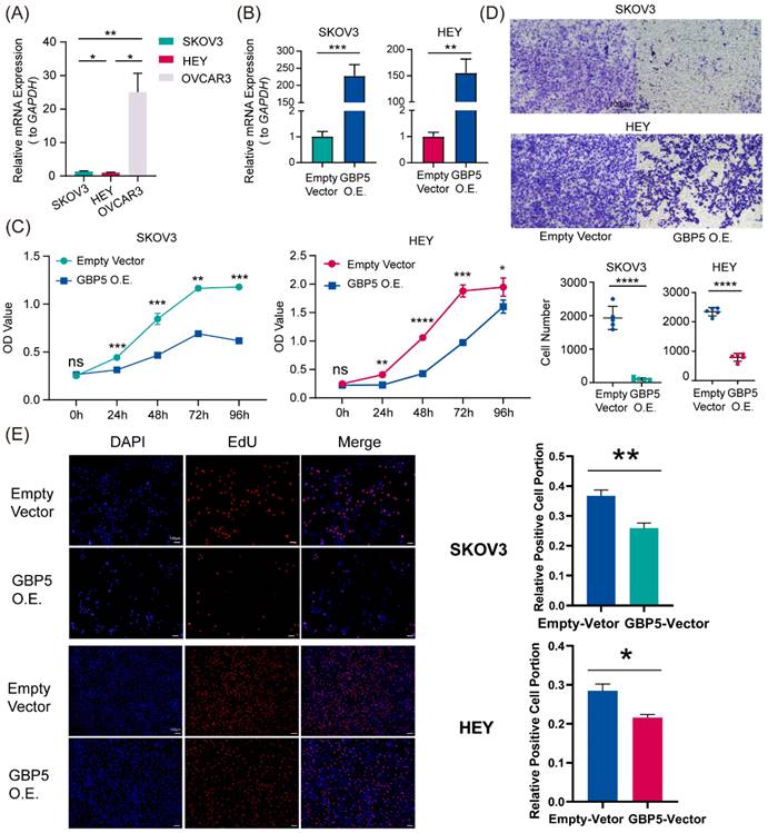 J Cancer Image
