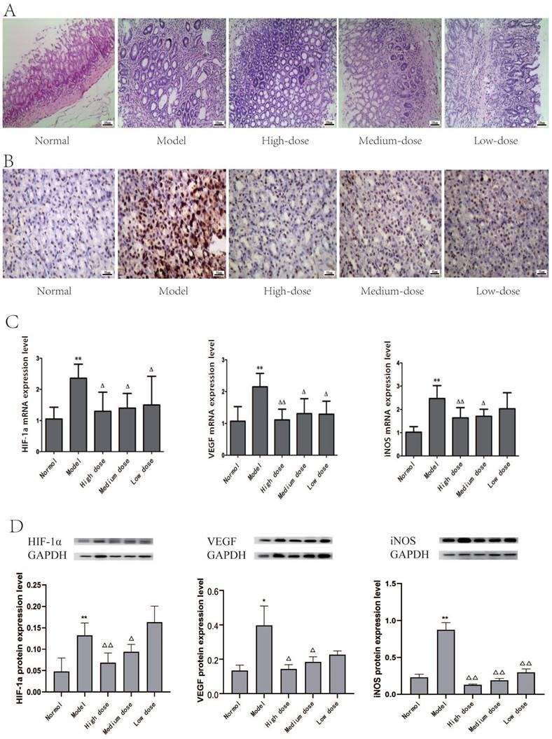 J Cancer Image