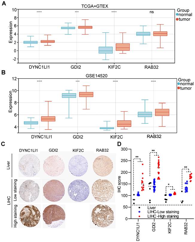 J Cancer Image