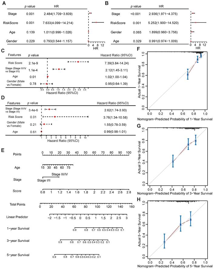 J Cancer Image