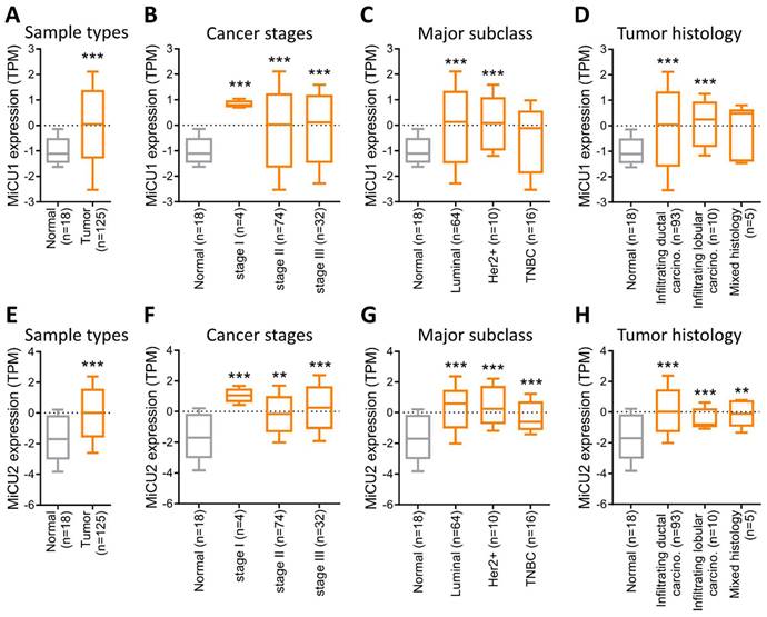 J Cancer Image