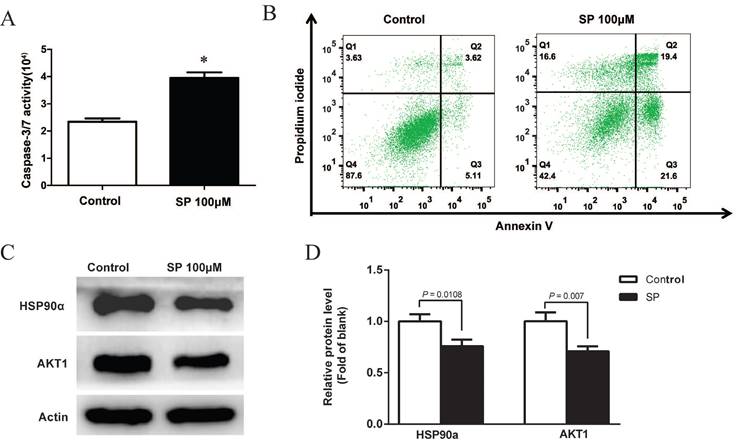 J Cancer Image