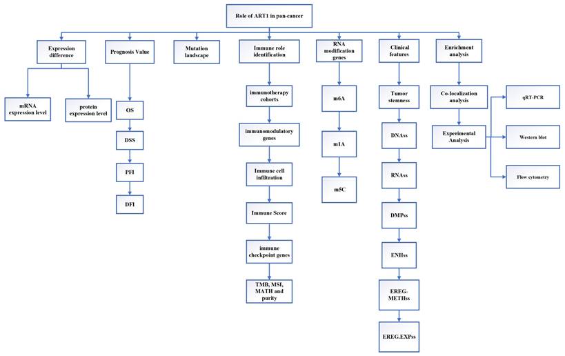 J Cancer Image