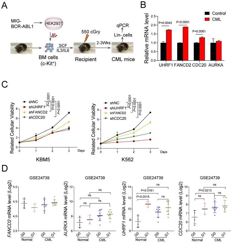 J Cancer Image