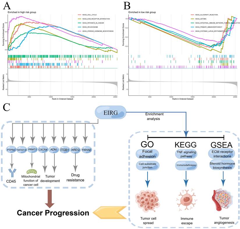 J Cancer Image