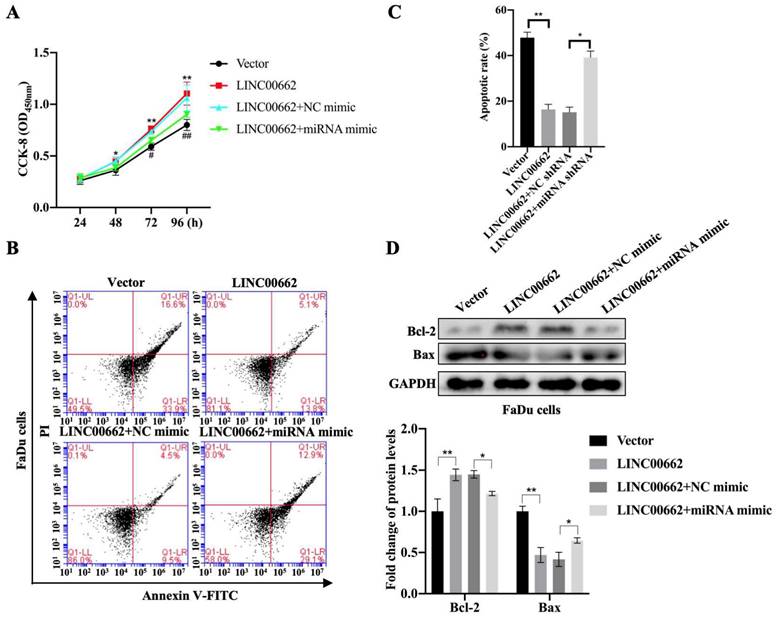 J Cancer Image