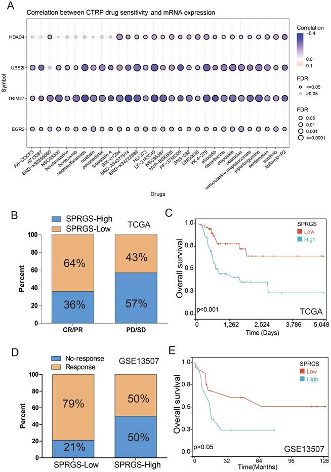 J Cancer Image