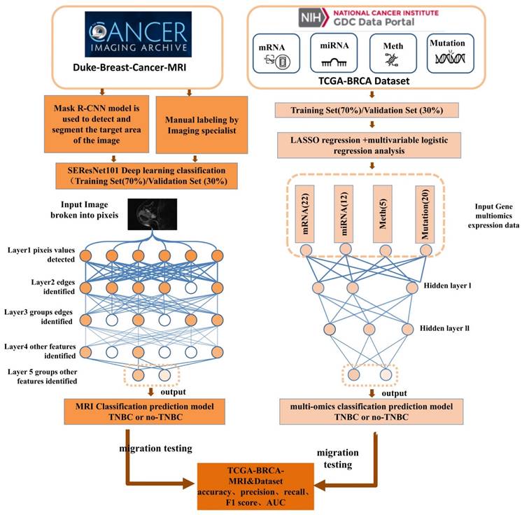 J Cancer Image