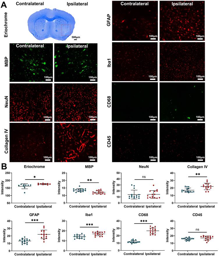J Cancer Image