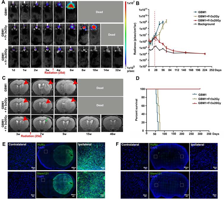 J Cancer Image