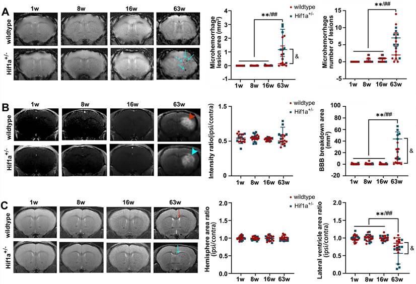 J Cancer Image