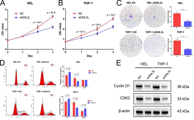 J Cancer Image