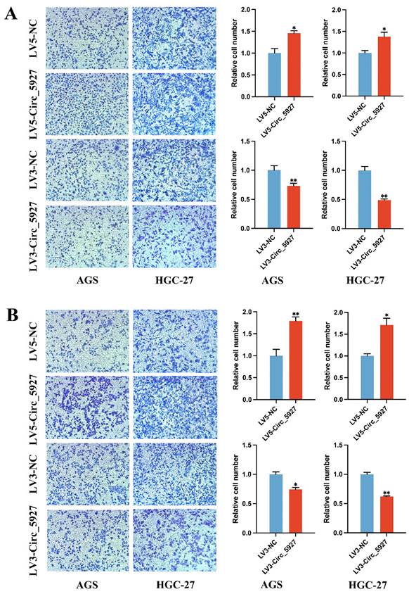 J Cancer Image