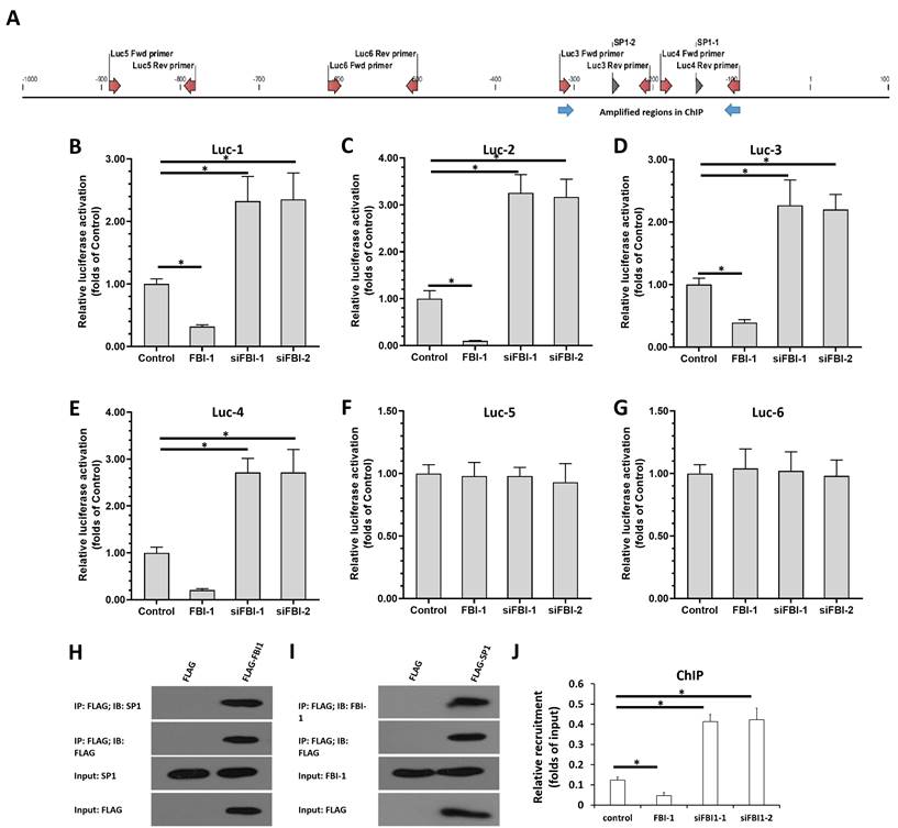 J Cancer Image