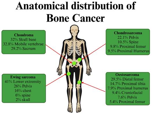 J Cancer Image