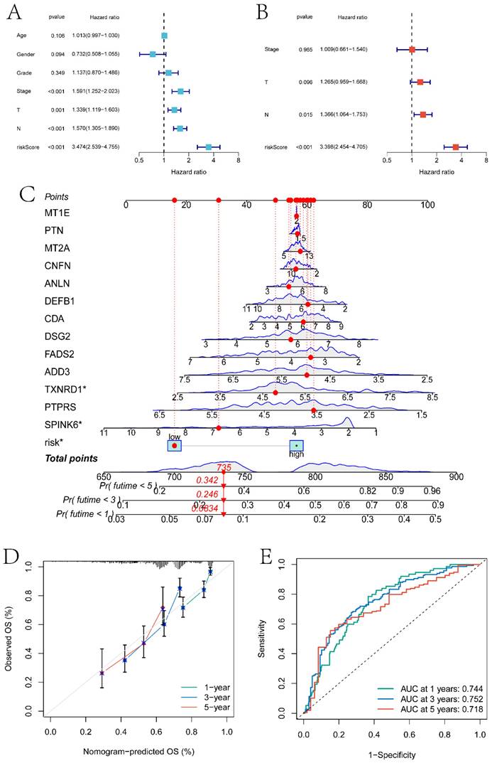 J Cancer Image