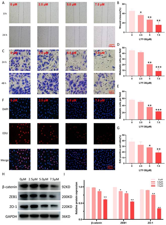 J Cancer Image