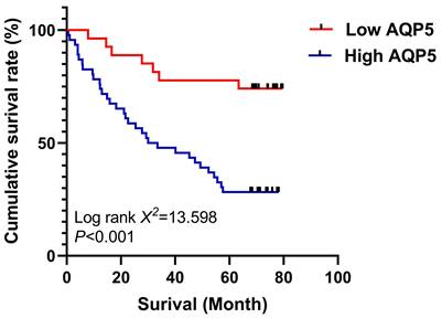 J Cancer Image