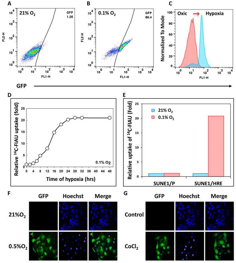 J Cancer Image