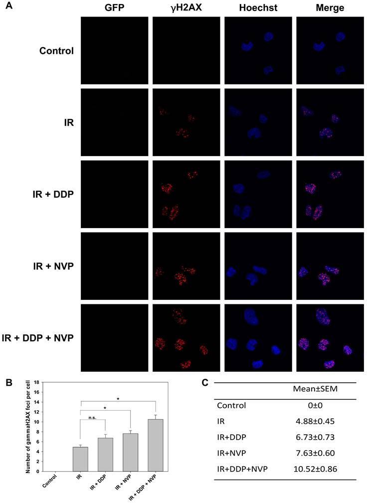 J Cancer Image