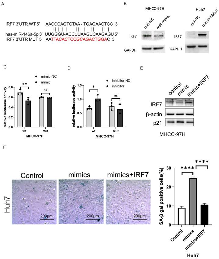J Cancer Image