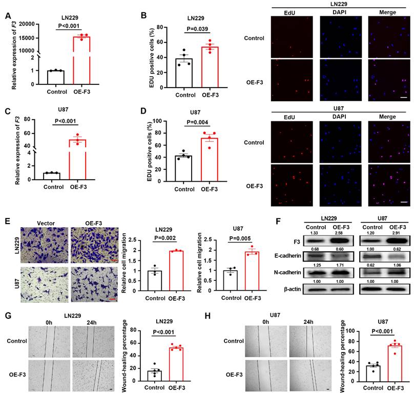 J Cancer Image