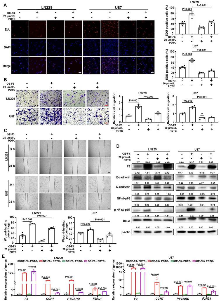 J Cancer Image