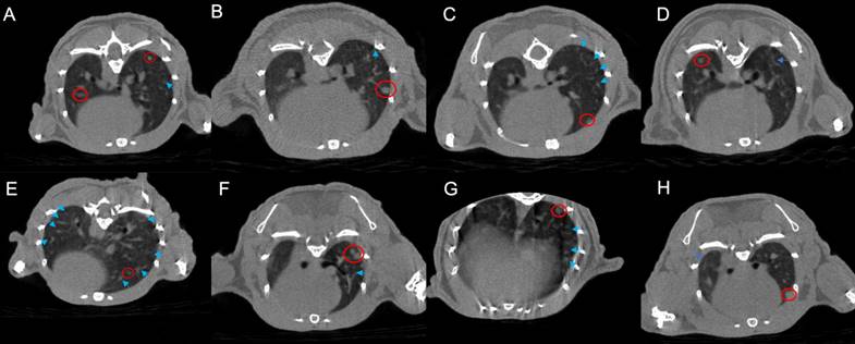 J Cancer Image