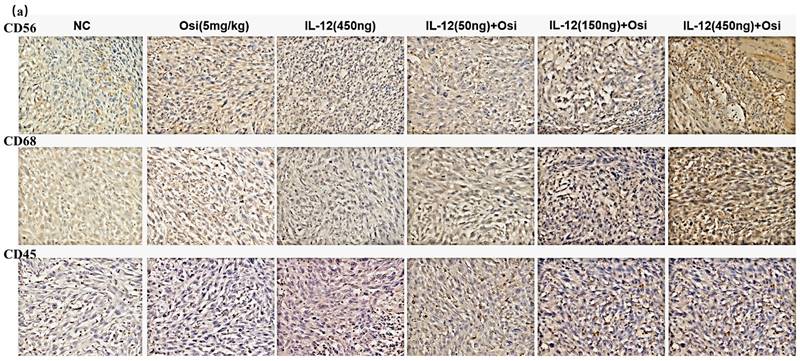 J Cancer Image