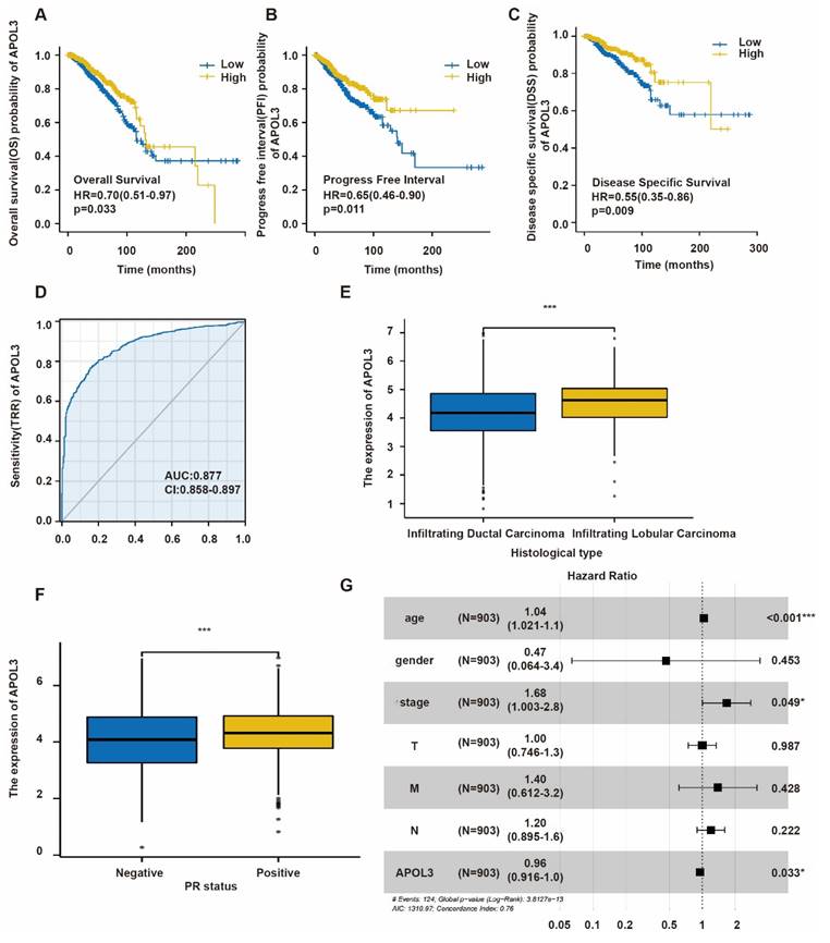 J Cancer Image