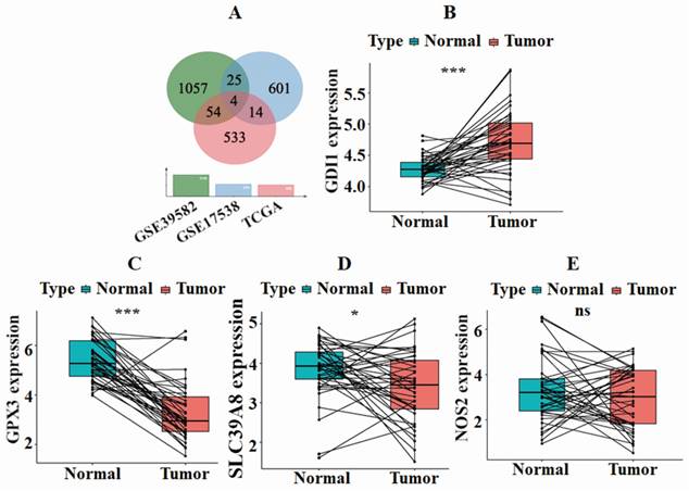 J Cancer Image