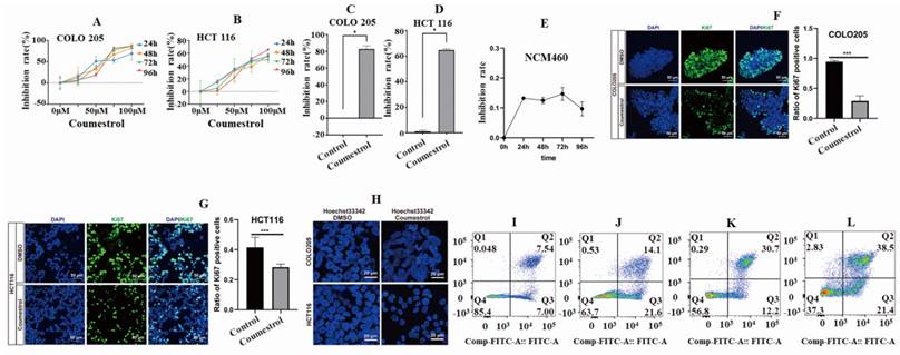 J Cancer Image