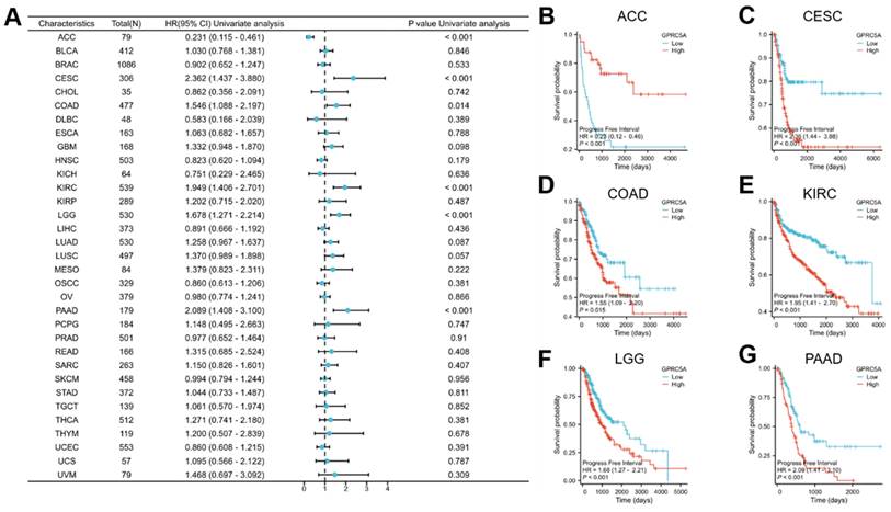 J Cancer Image