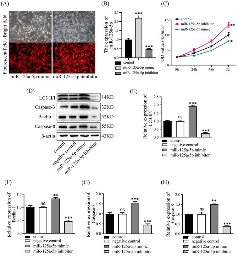 J Cancer Image