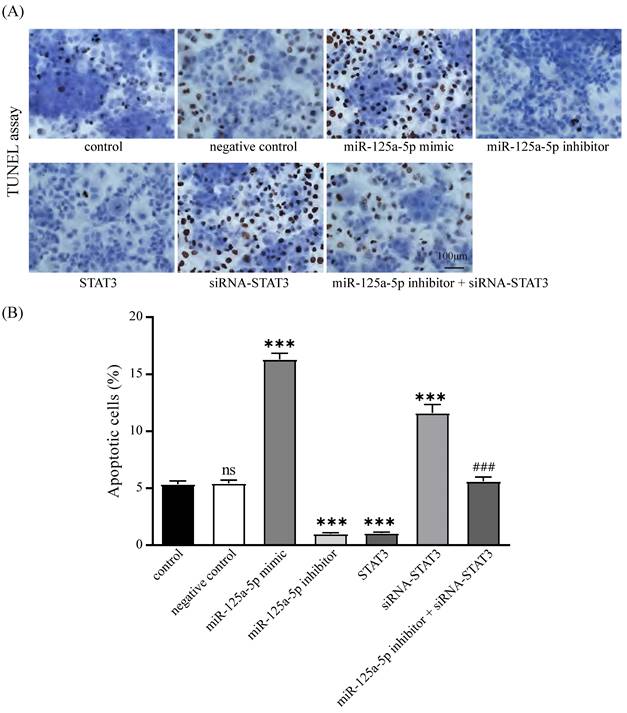 J Cancer Image
