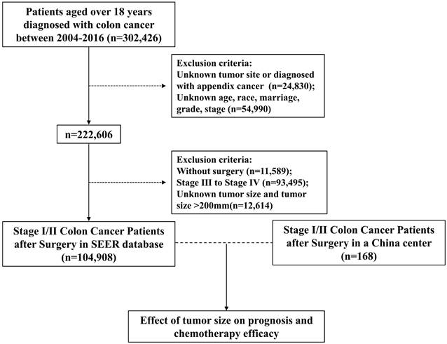 J Cancer Image