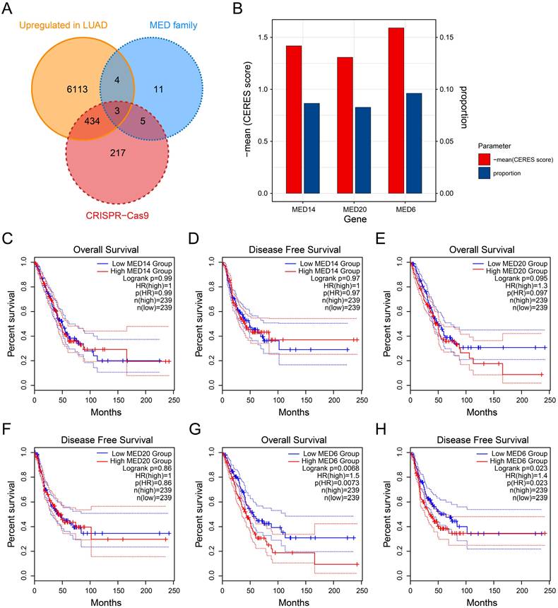 J Cancer Image