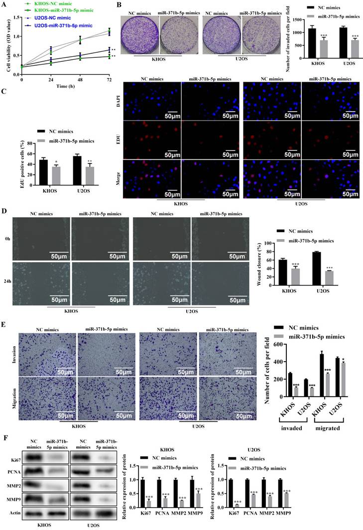J Cancer Image