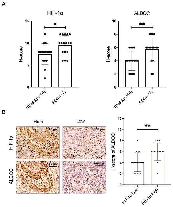 J Cancer Image
