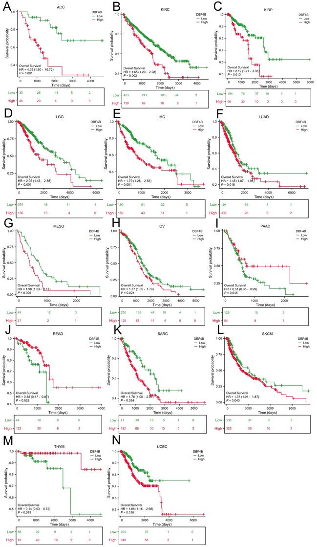 J Cancer Image