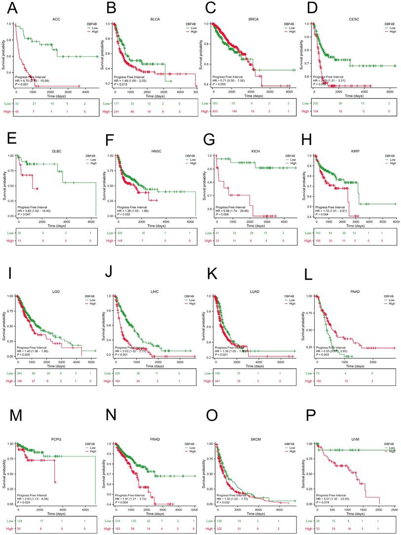 J Cancer Image