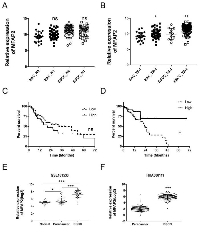 J Cancer Image